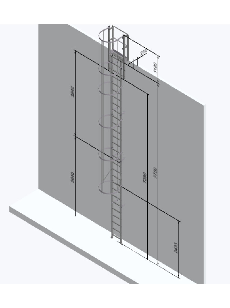 3D - 7,75 m - Échelle à crinoline