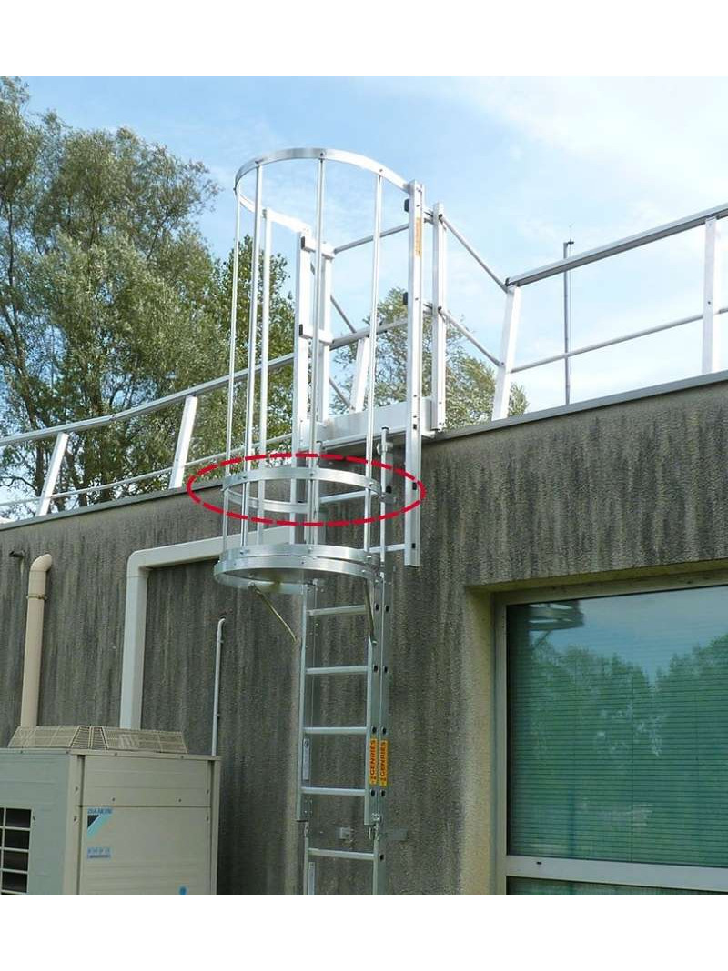 Arceau de protection dorsale pour cage d'échelle à crinoline à taille réelle